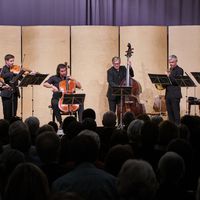 Sm 082 MSTS6070 05 01 Neujahrskonzert